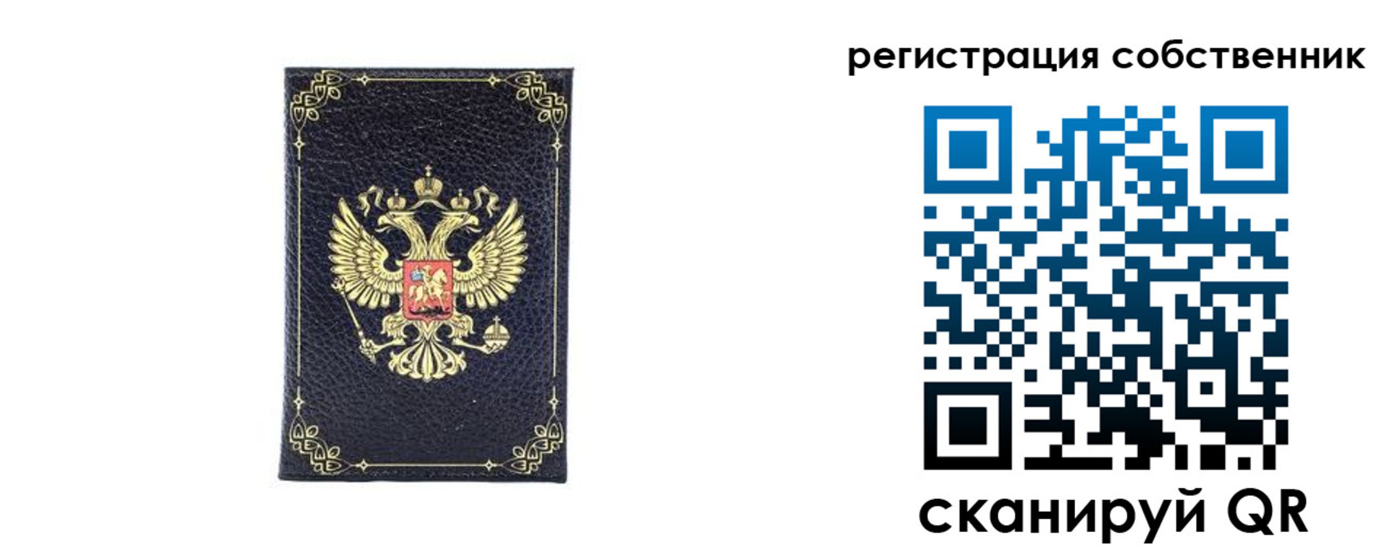 прописка законно в Павлово